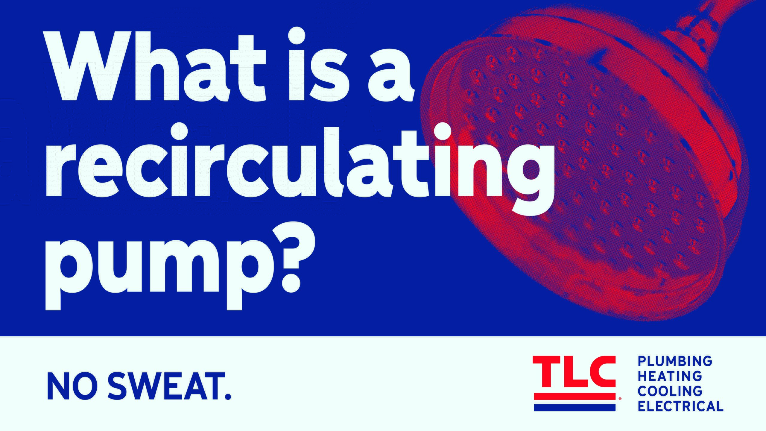 Featured image for “What is a Hot Water Recirculating Pump?”