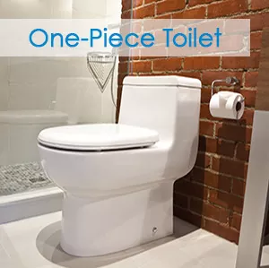 One Piece Toilet Web.jpg