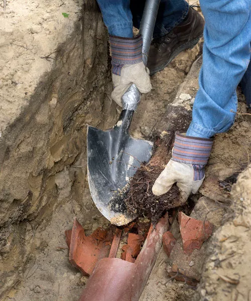 Root Repairs In Drain Line Albuquerque.jpg