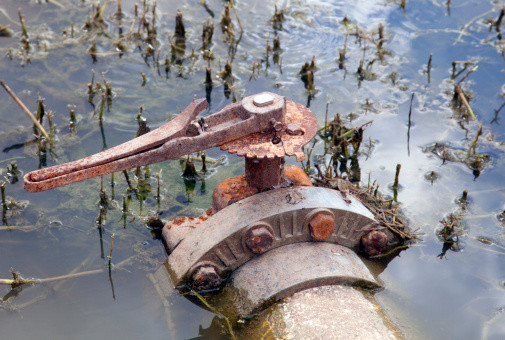 Featured image for “Avoid Septic Tank Failure”