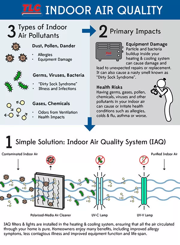 Indoor Air Quality Infographic On Types Of Air Pollutants.jpg