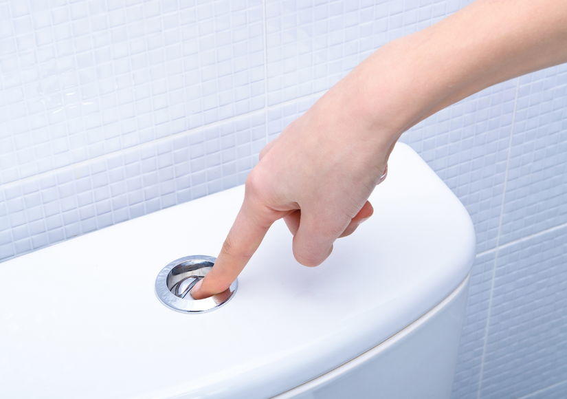Image of a dual flush toilet