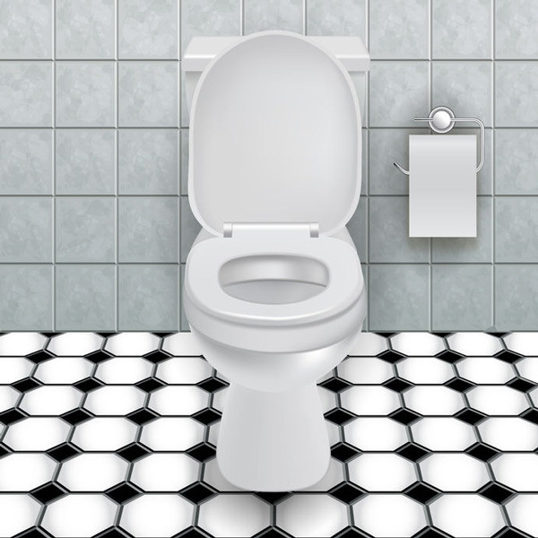 how-to-choose-a-new-toilet