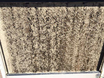 Swamp Cooler Pad With Mold And Debris 1