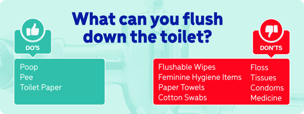 Dos Donts  Toilet